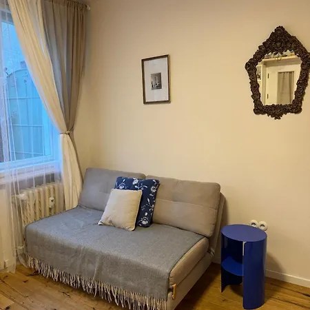 公寓 Cozy With A Terrace In The Center Of
